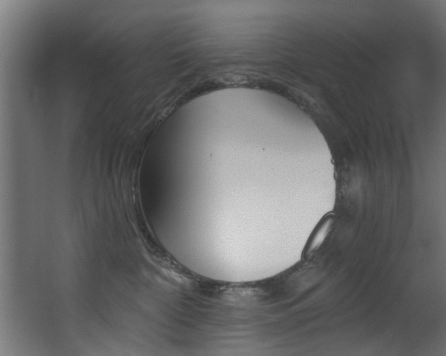 X0000068310332200604211043