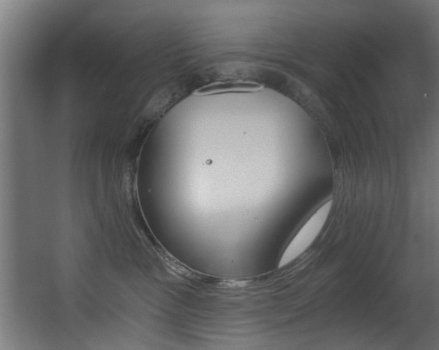 X0000068310333200604211043