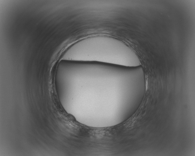 X0000068310339200604211042