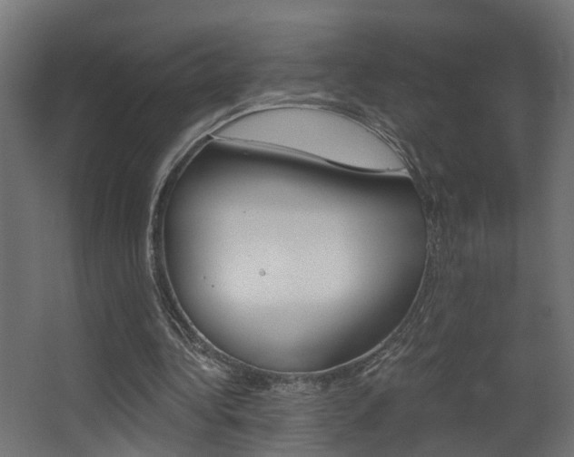 X0000068310340200604211042