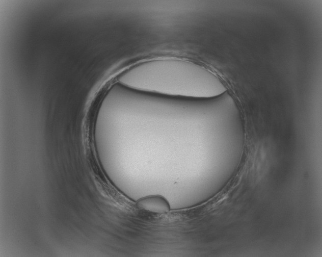 X0000068310343200604211042