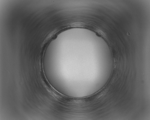 X0000068310349200604211042
