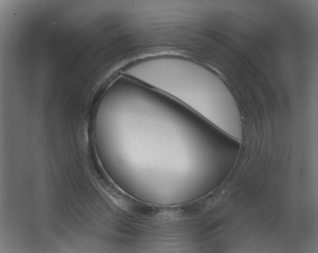 X0000068310350200604211042