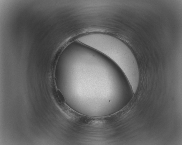 X0000068310352200604211042