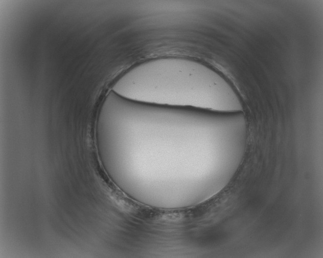 X0000068310353200604211042