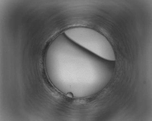 X0000068310354200604211042