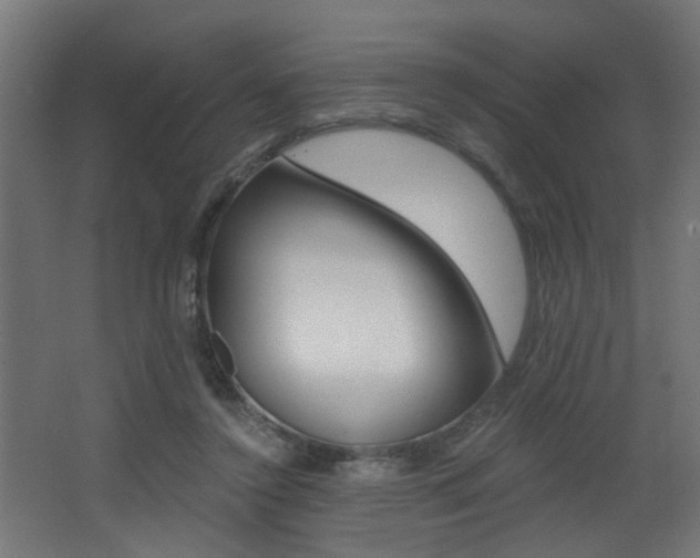 X0000068310356200604211042