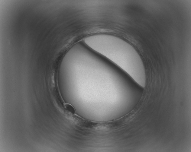 X0000068310358200604211042