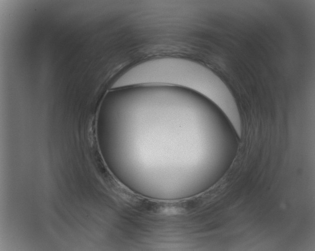 X0000068310360200604211042