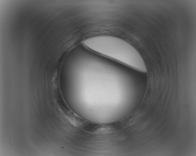 X0000068310364200604211042