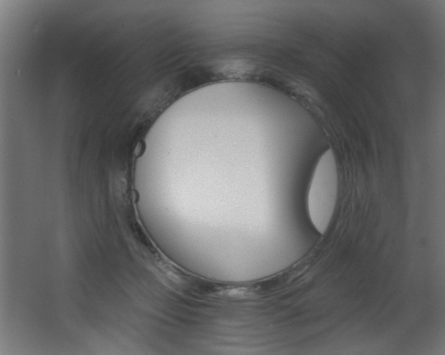 X0000068310365200604211043