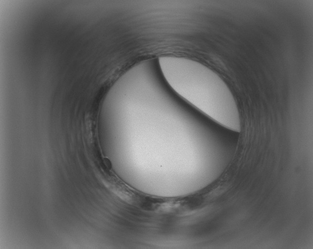 X0000068310366200604211043