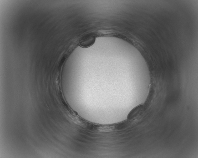 X0000068310373200604211043