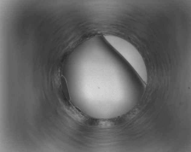 X0000068310376200604211043