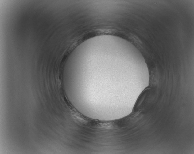 X0000068310377200604211043