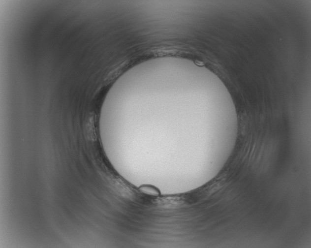 X0000068310378200604211043