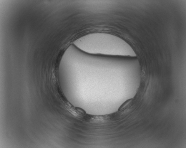 X0000068310381200604211043