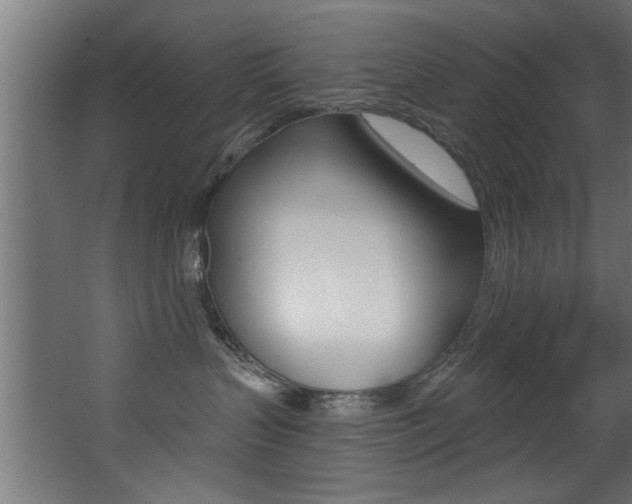 X0000068310383200604211043