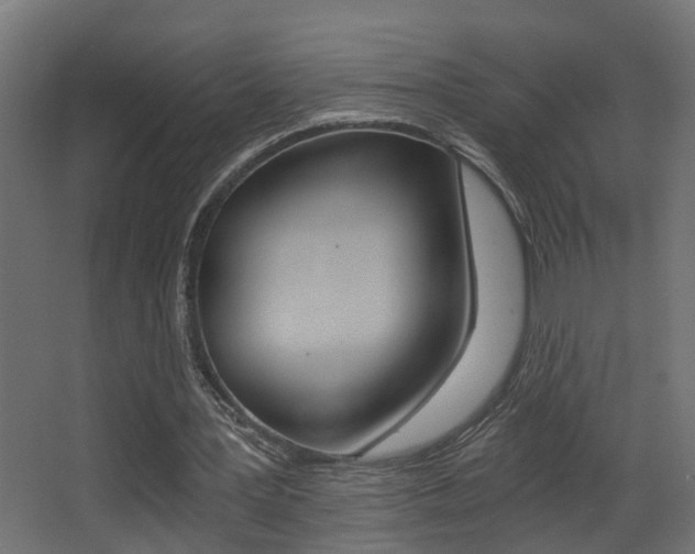 X0000068310387200604211042