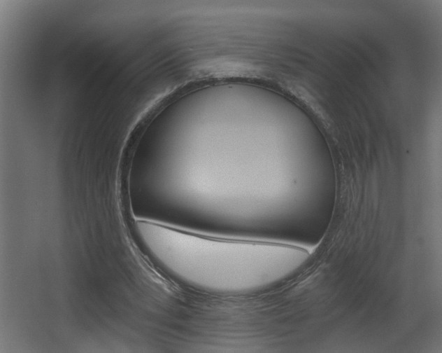 X0000068310391200604211042