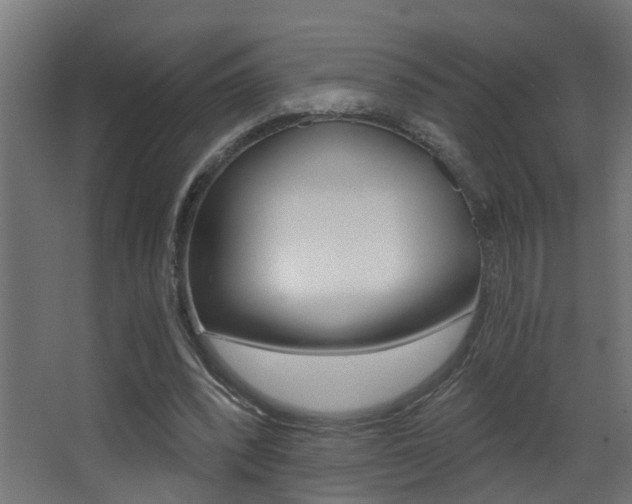 X0000068310392200604211042