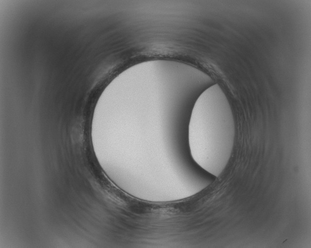 X0000068310396200604211042