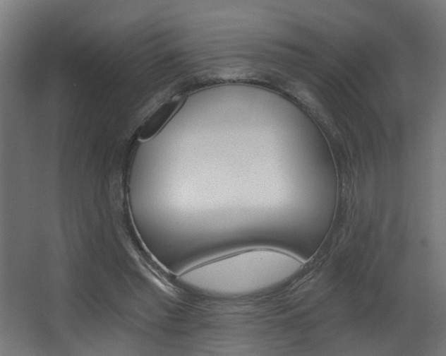 X0000068310397200604211042
