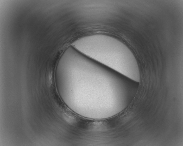 X0000068310406200604211042