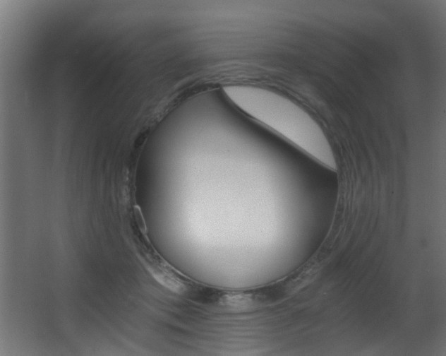 X0000068310413200604211042
