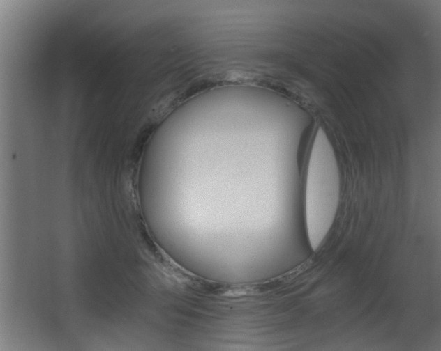 X0000068310415200604211041