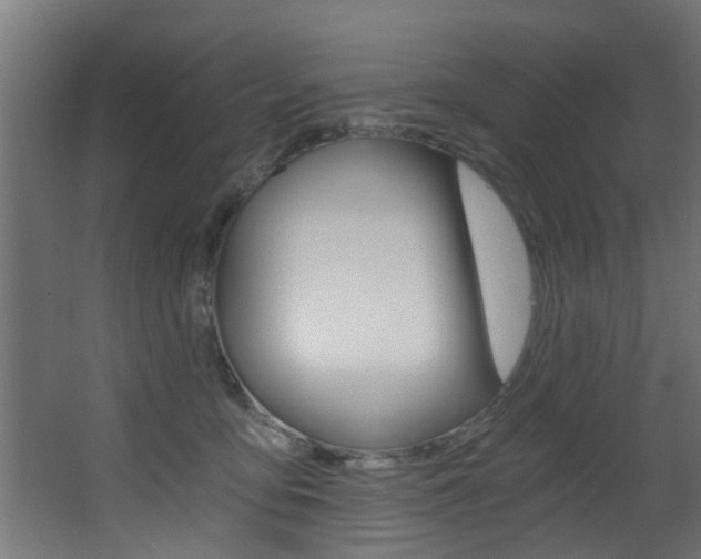 X0000068310419200604211041