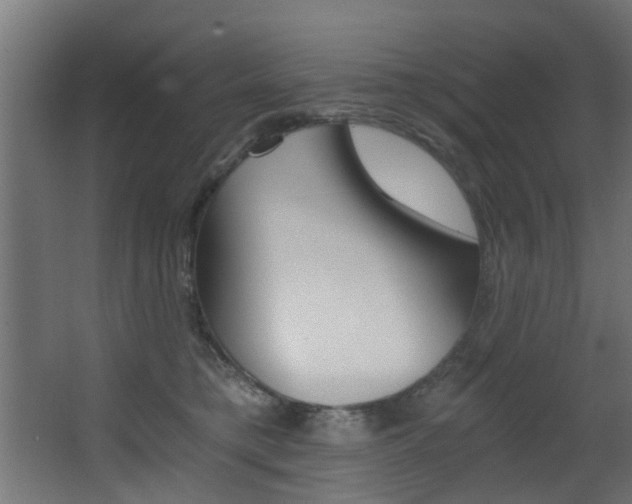 X0000068310421200604211041