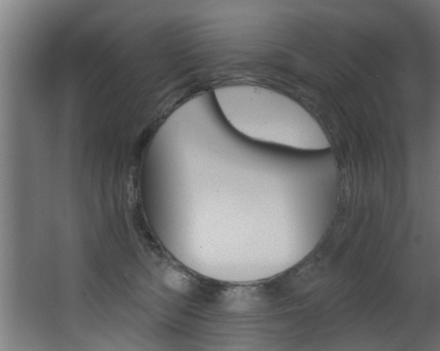 X0000068310422200604211041