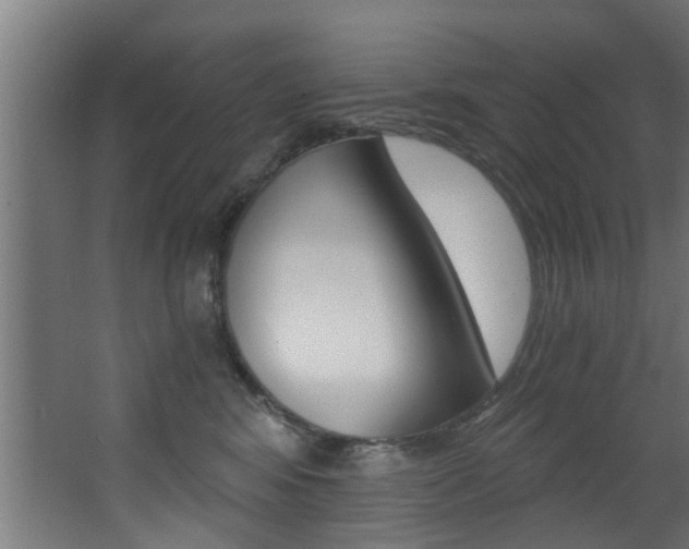 X0000068310424200604211041