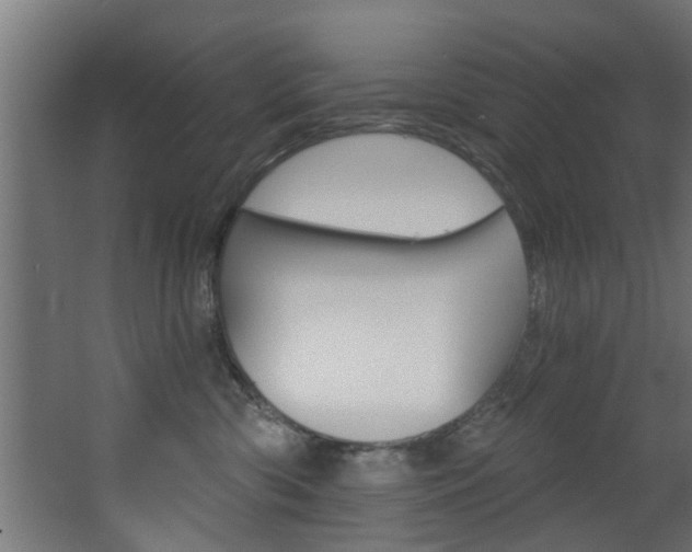X0000068310426200604211041