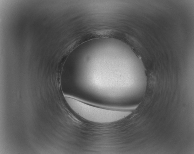 X0000068310428200604211041