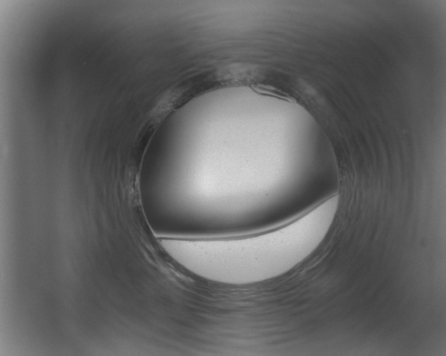 X0000068310429200604211041