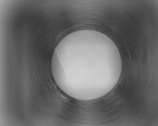 X0000068310431200604211041