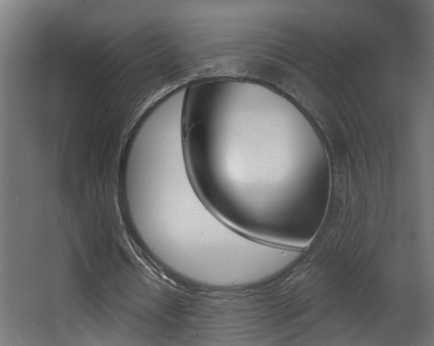 X0000068310434200604211040