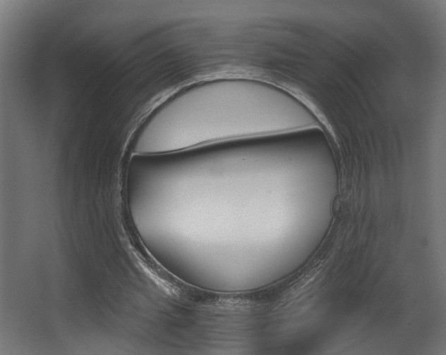 X0000068310437200604211040