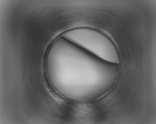 X0000068310439200604211040