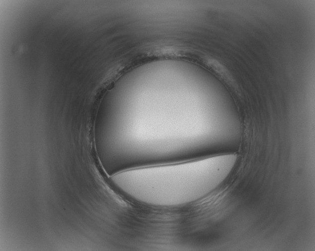 X0000068310449200604211041
