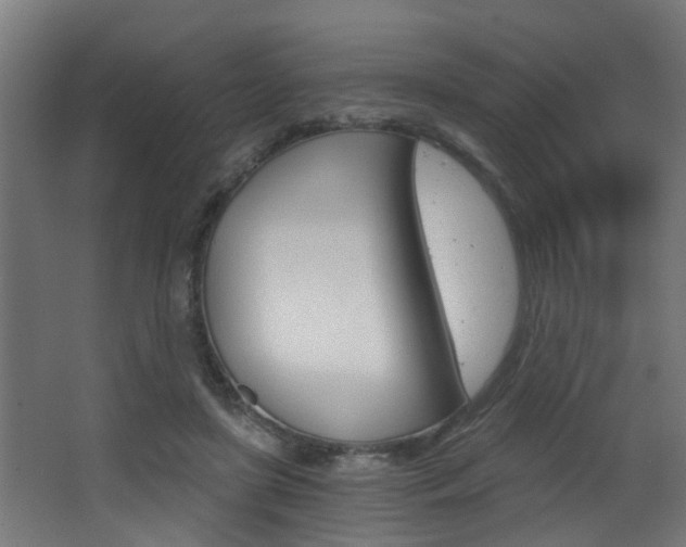 X0000068310451200604211041