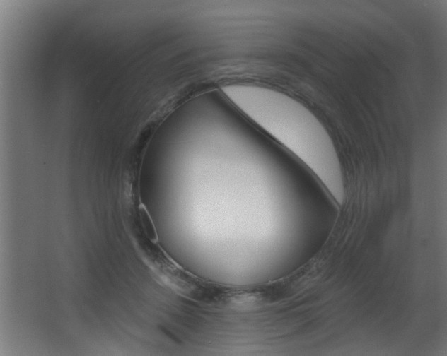 X0000068310456200604211041