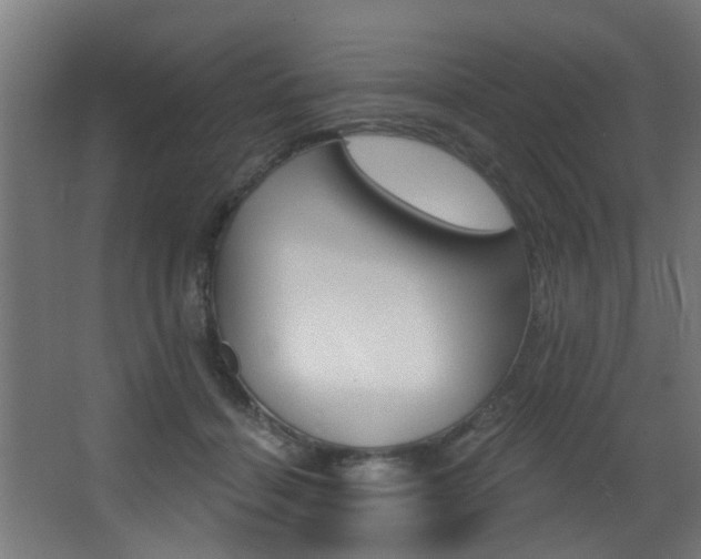 X0000068310460200604211041