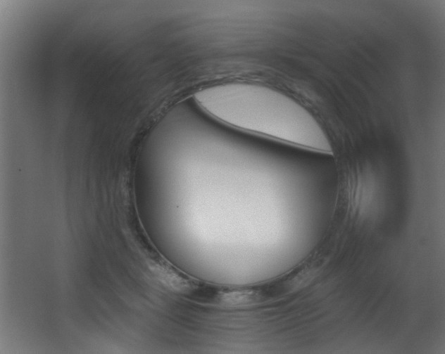 X0000068310461200604211041
