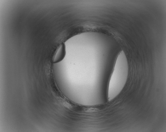 X0000068310463200604211041