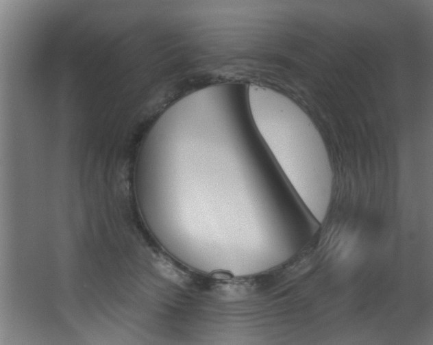 X0000068310466200604211041