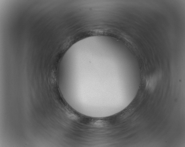X0000068310467200604211041