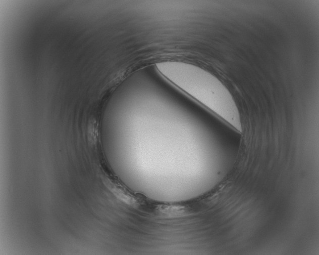 X0000068310476200604211041